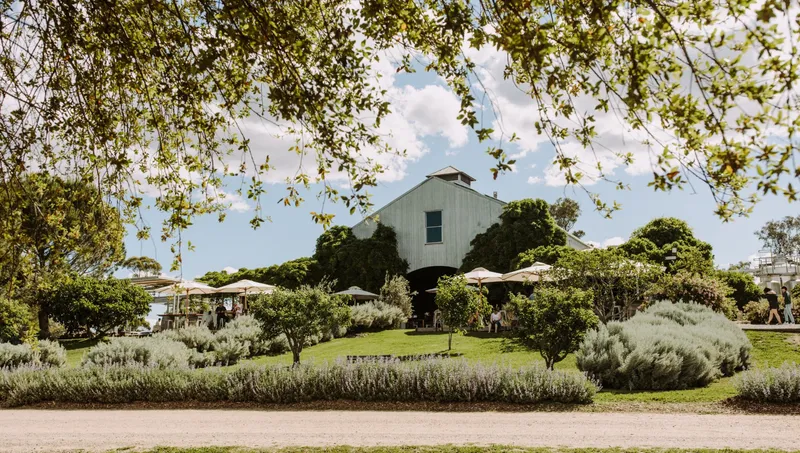 The Cellar Door at Lowe