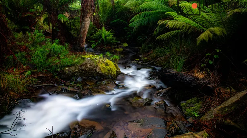 Peter George Photography