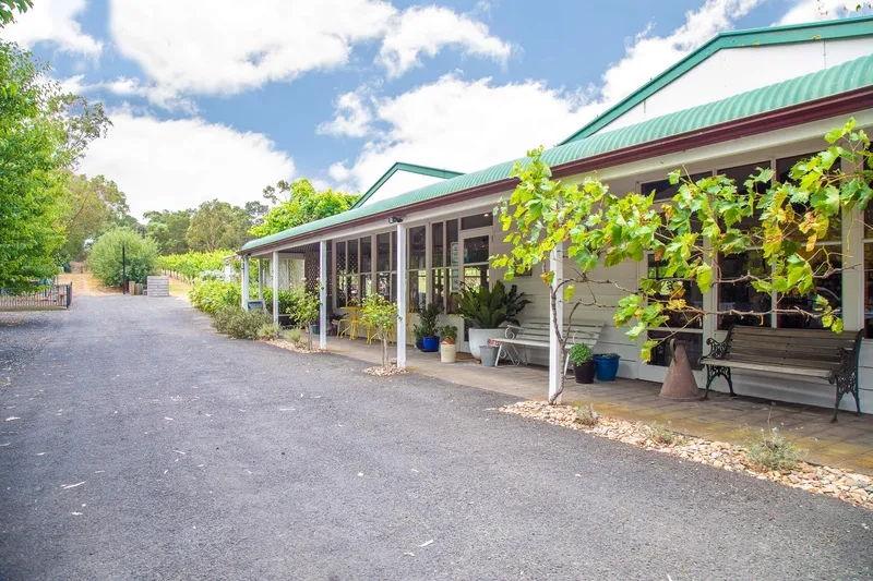 The Apple Farm photo