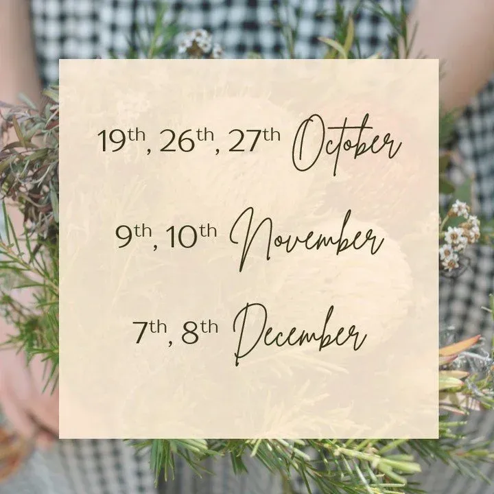 Love, Emily - Celebrant Emily Murphy