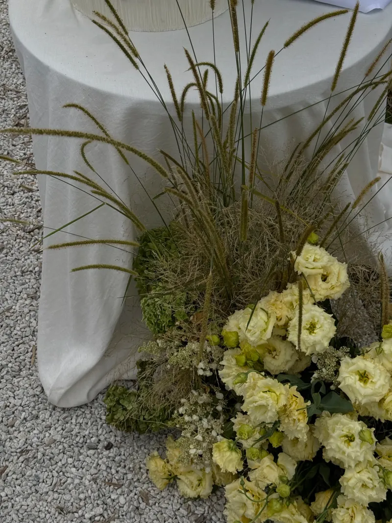 Veiled Socials