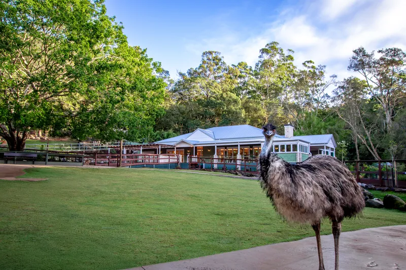 Currumbin Wildlife Sanctuary photo