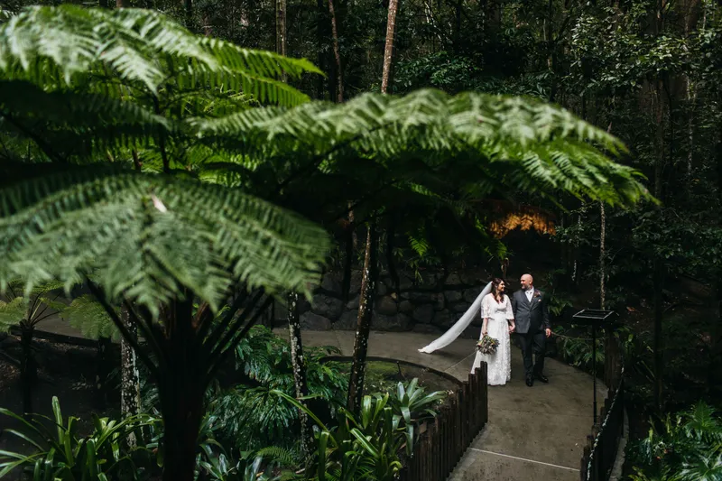 Currumbin Wildlife Sanctuary photo