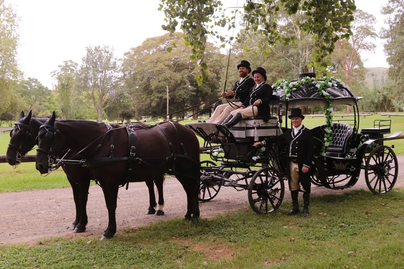 Cinderella Arrivals photo