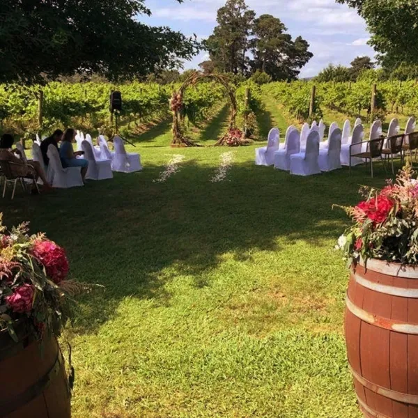 Wild Cattle Creek Estate