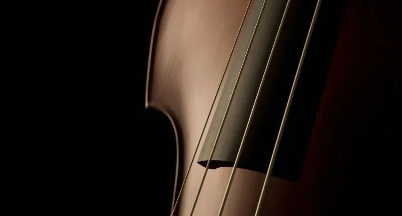 Jarger String Quartet