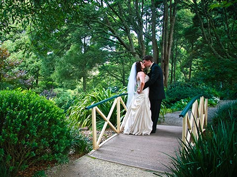 SkyHigh Mount Dandenong photo