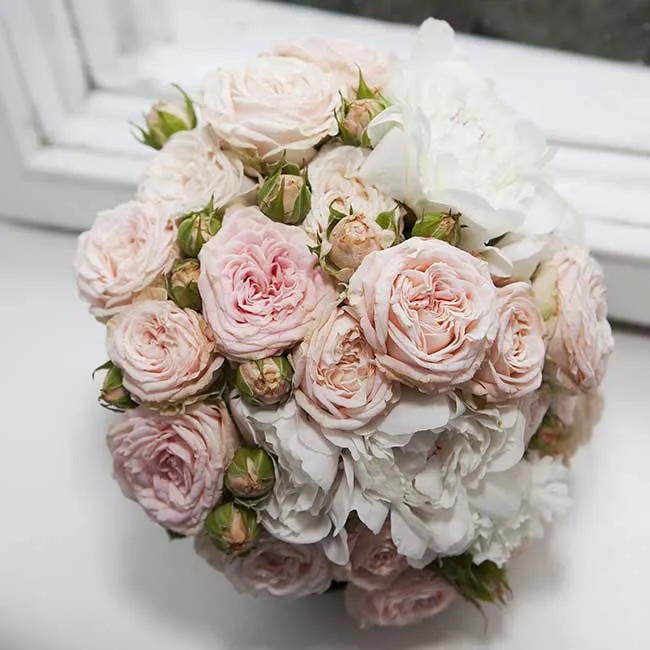 Bloomfield Flowers photo