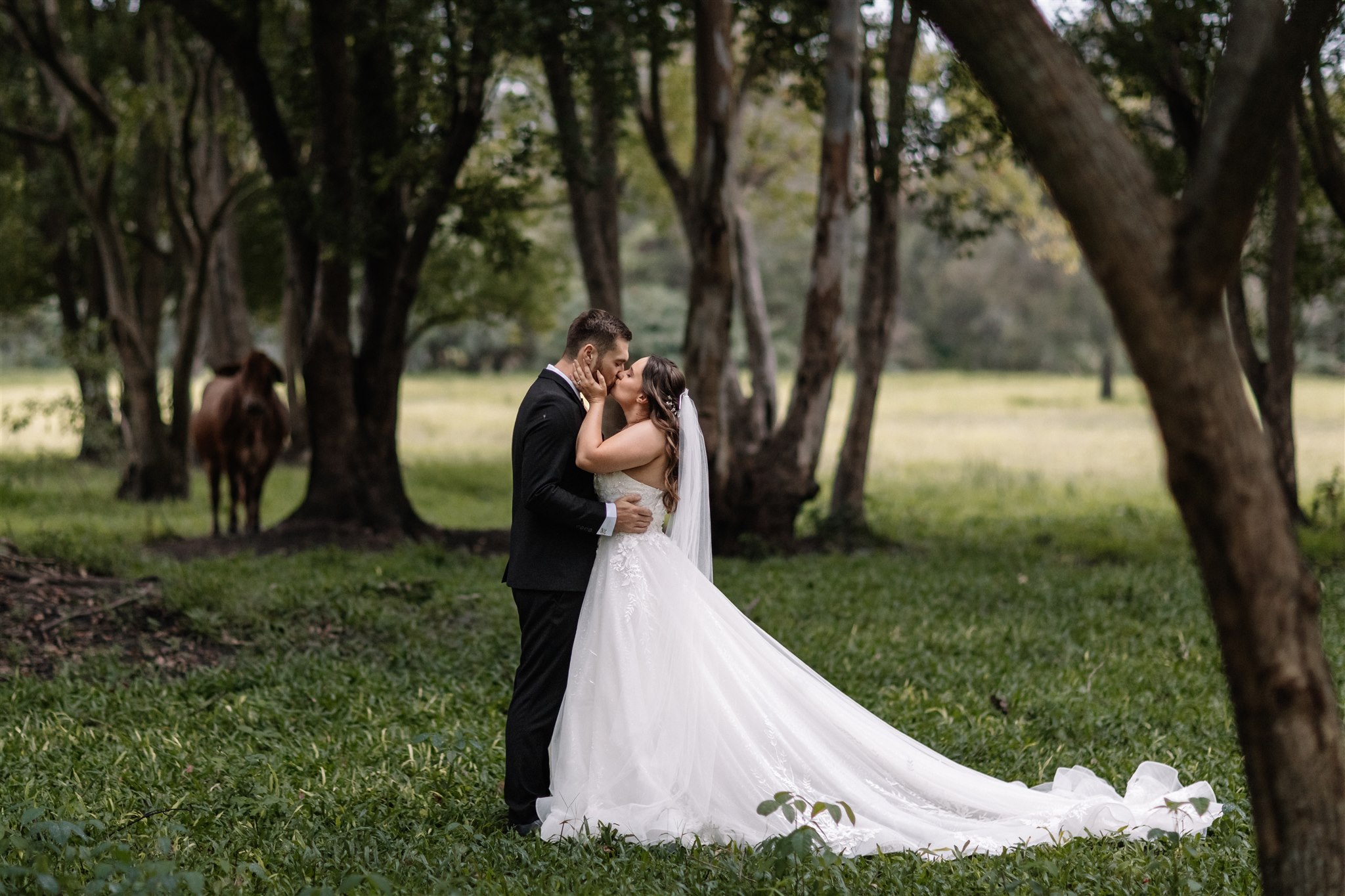 Glenrock Farm video thumbnail