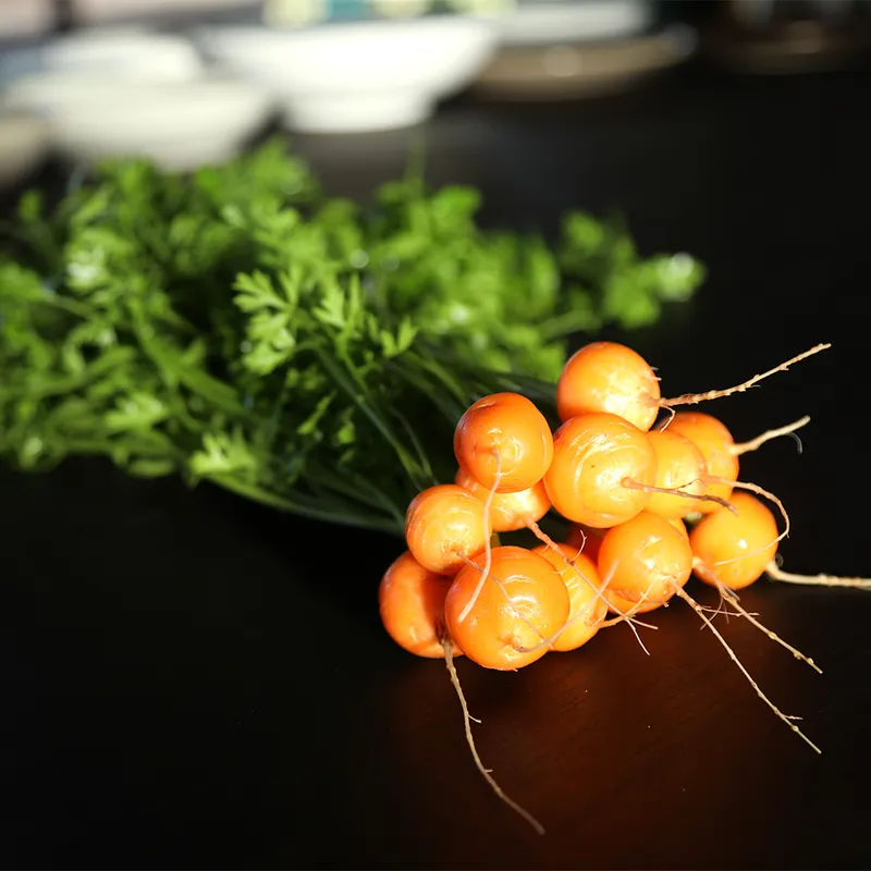 Bunch of baby Dutch carrots freshly picked at Stix Farm