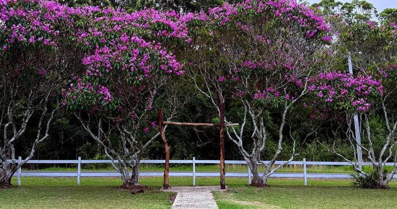 The Green @ Telegraph Retreat