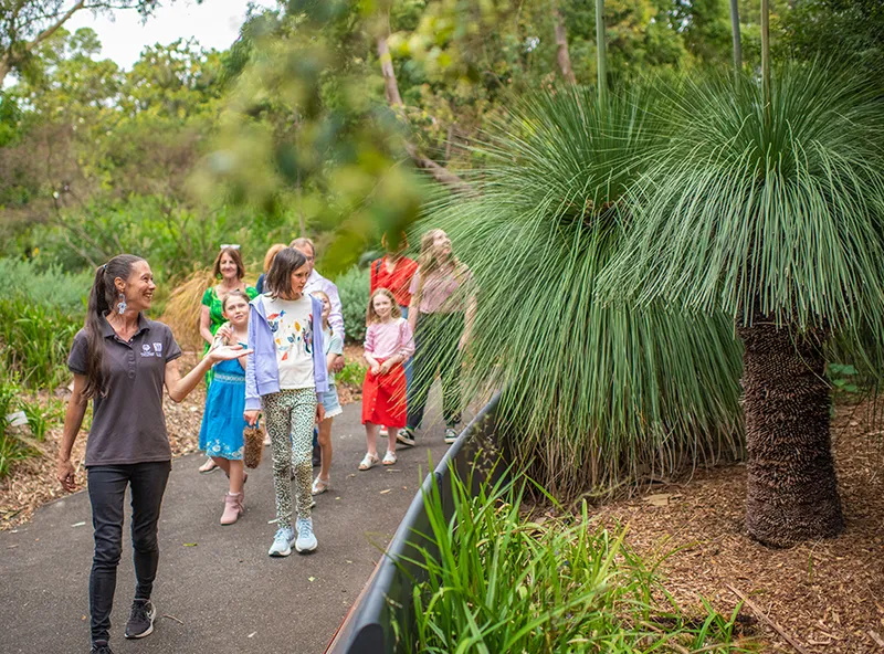 Blue Mountains Botanic Garden Mount Tomah