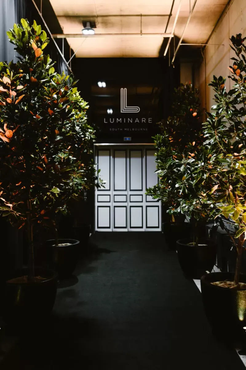 Luminare photo