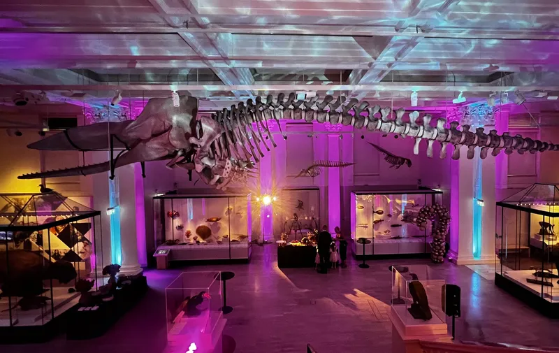 Australian Museum