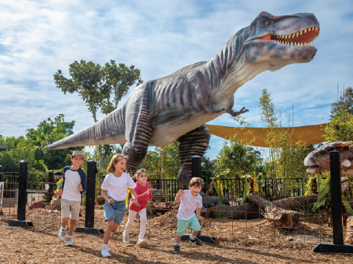 Sydney Zoo video thumbnail