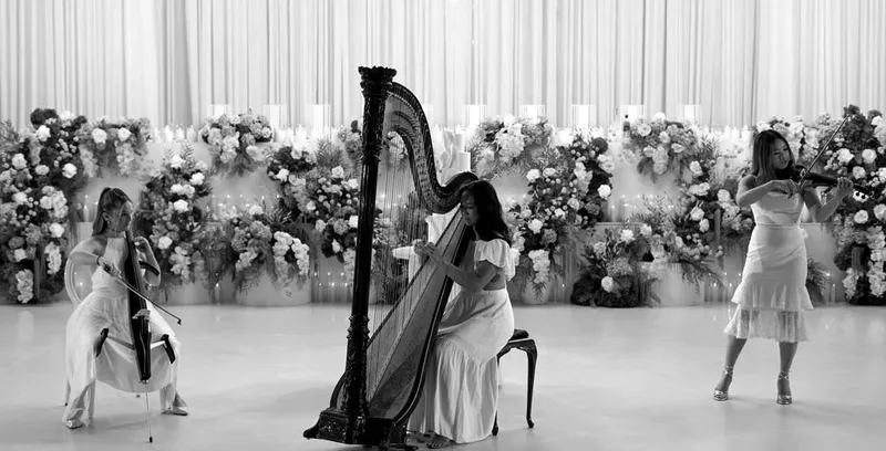 Aura Strings photo