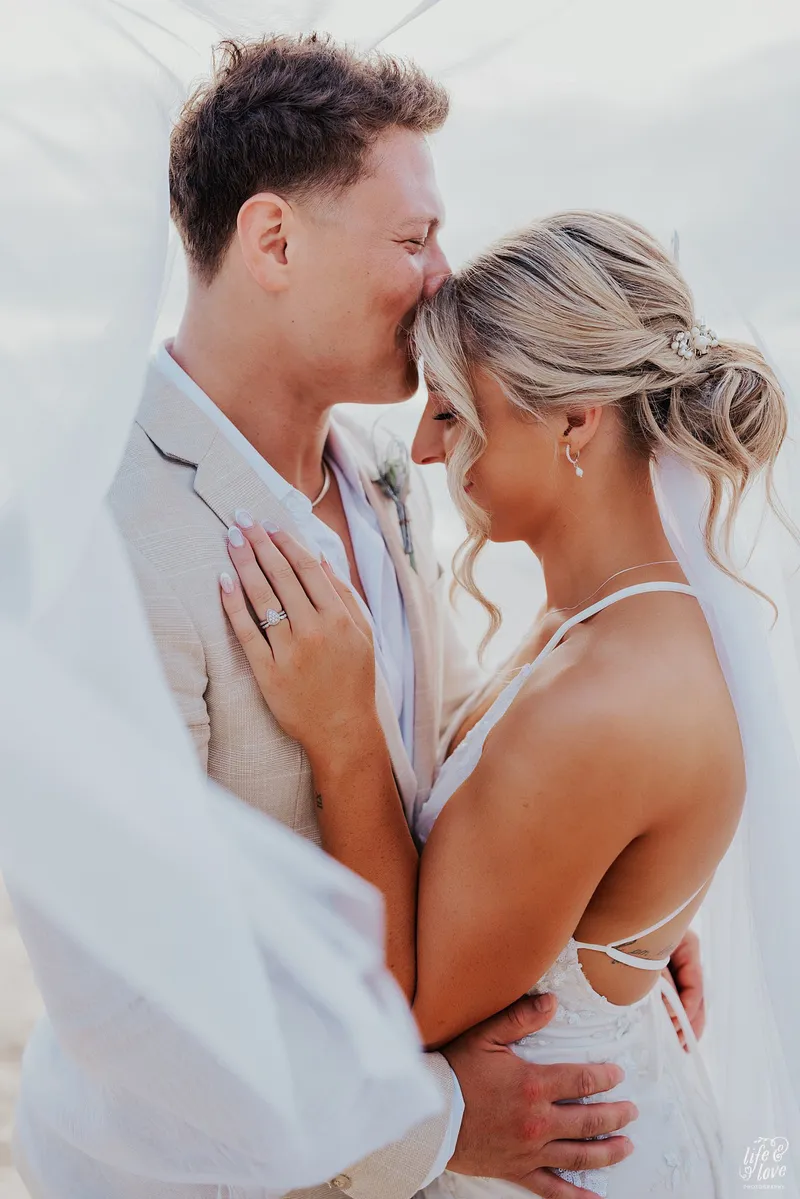 Hollywood Brides