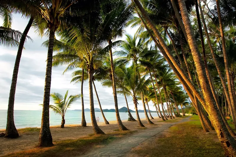 Palm Cove Weddings