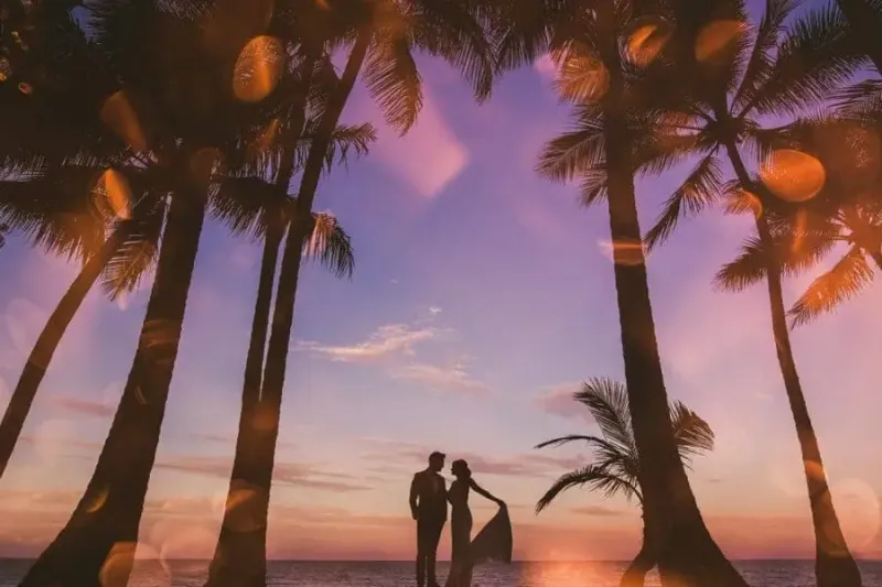 Alamanda Palm Cove by South Pacific Bridal photo