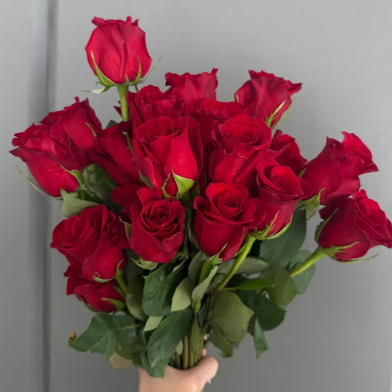 Pretty Little Blooms