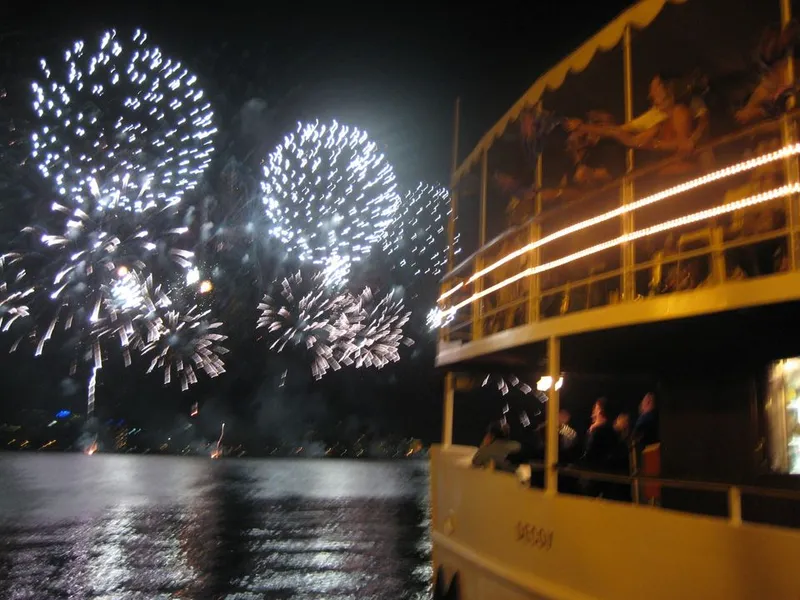 The Decoy Paddle Steamer
