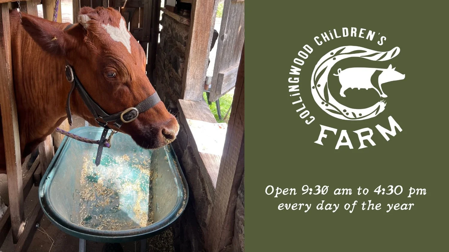 Collingwood Childrens' Farm video thumbnail