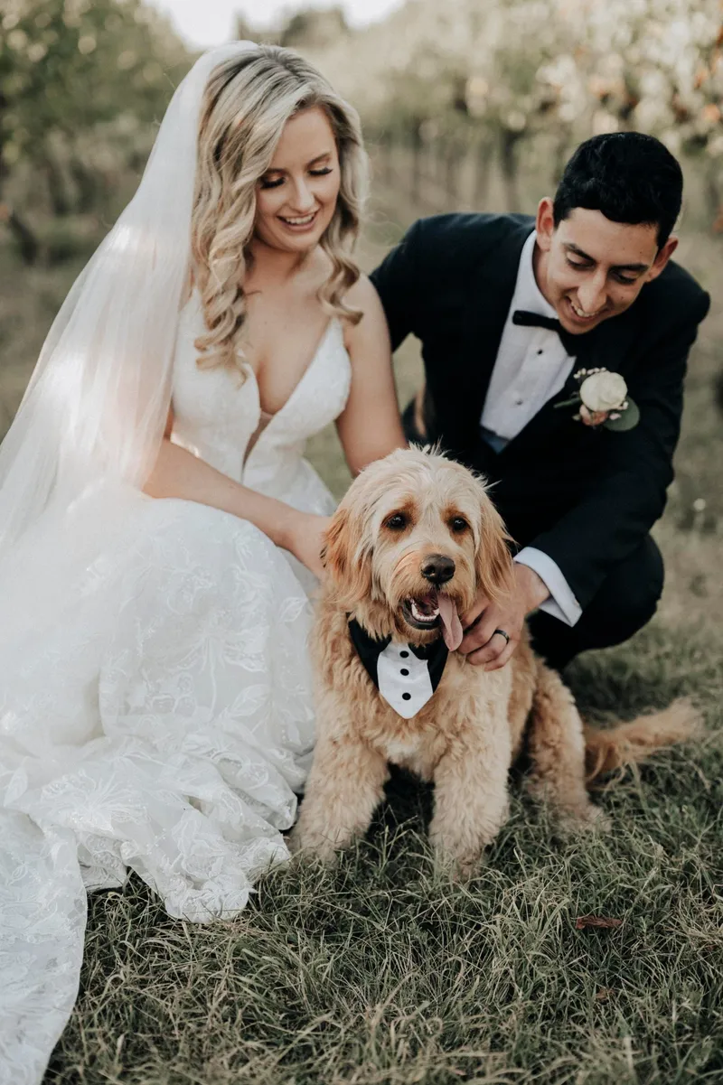 Witchmount Estate Winery - Weddings & Events