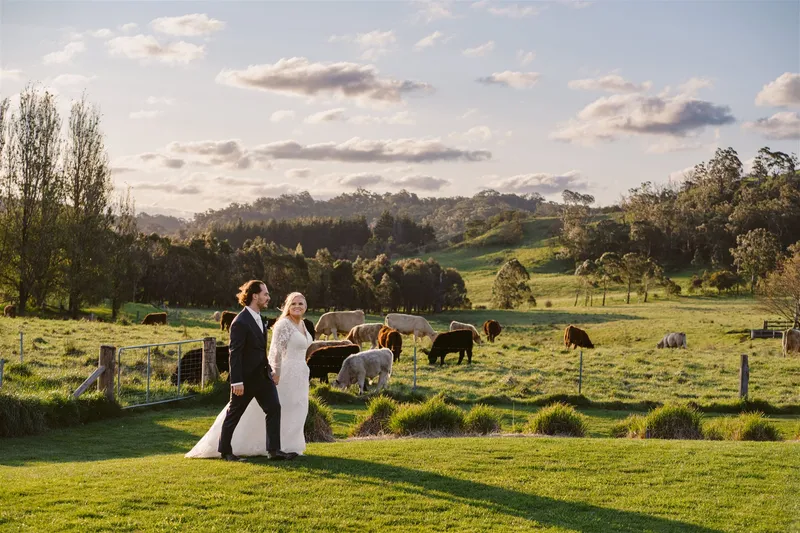 Bendooley Estate photo