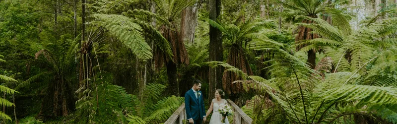 Lyrebird Falls Receptions