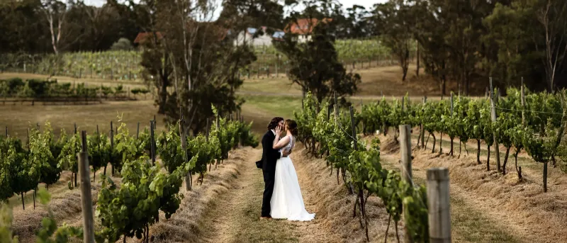 Wandin Valley Estate photo