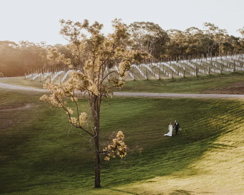 Wandin Valley Estate photo