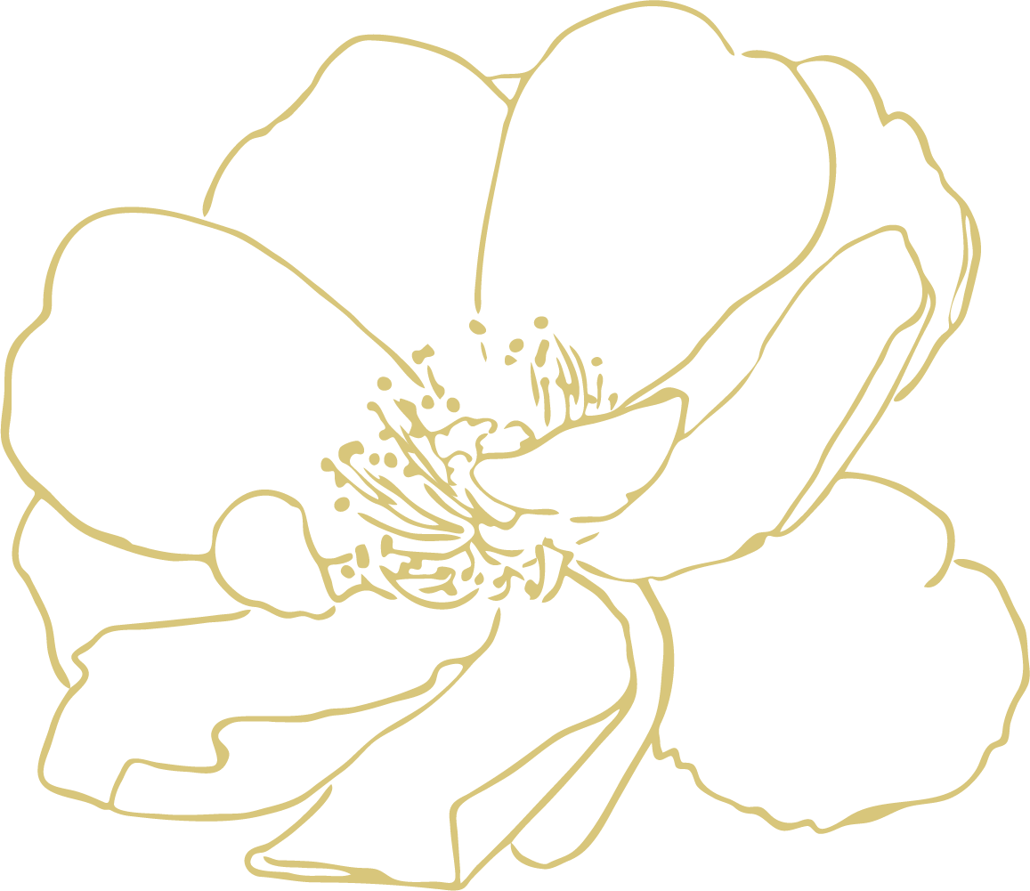 Beyond the script celebrations video thumbnail