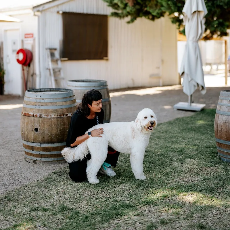 Mrs Barker’s Pet Services