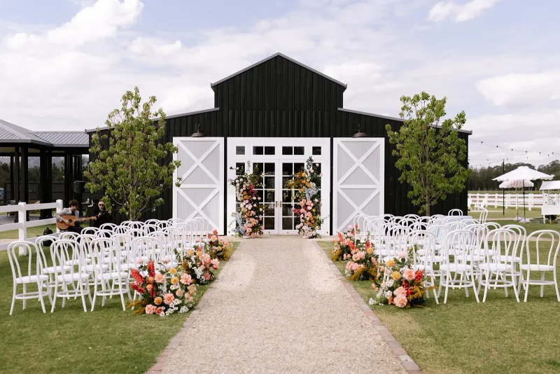 Dark Horse Vineyard