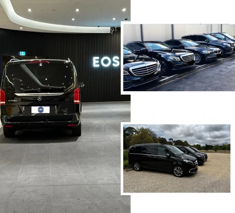 Blue Ribbon Limousines