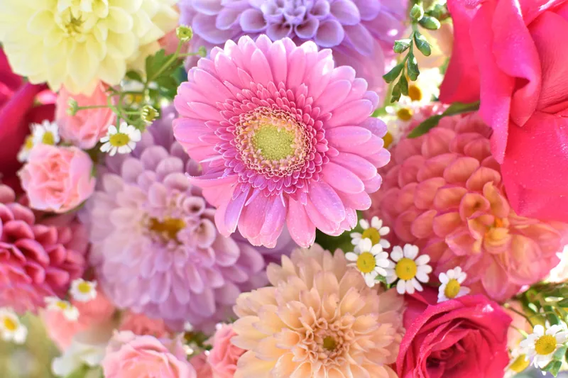 Floral Life Art