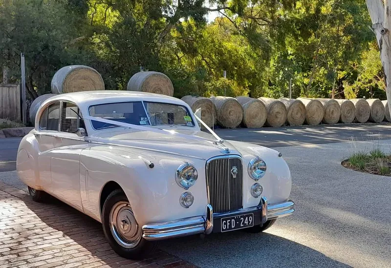 White Classic Jags