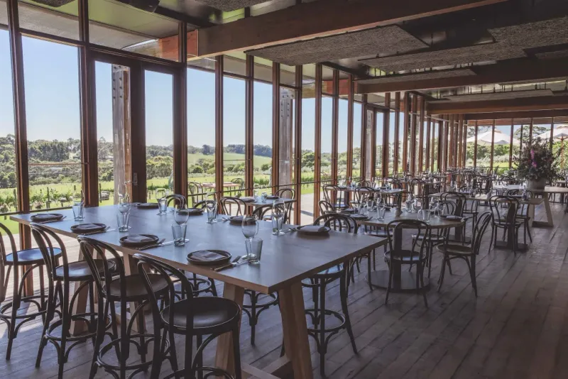 Montalto Vineyard & Olive Grove