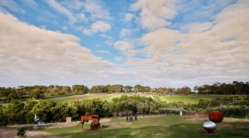 Montalto Vineyard & Olive Grove