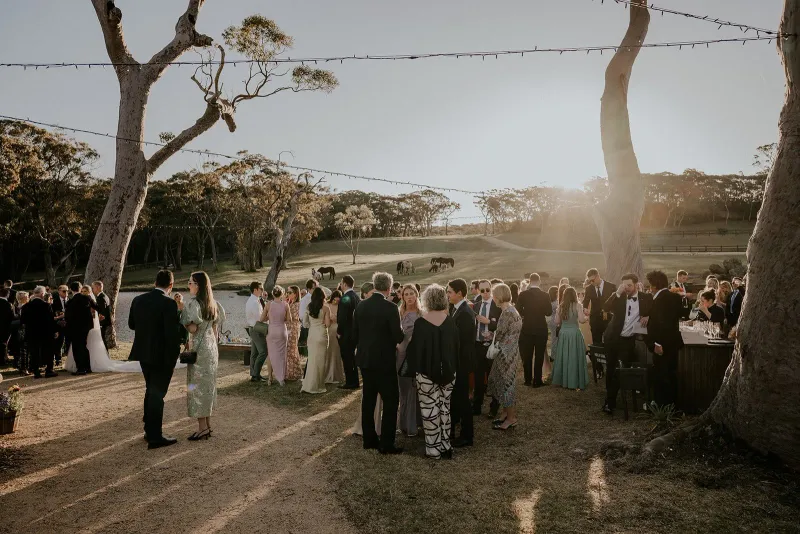 Silvergum Stables