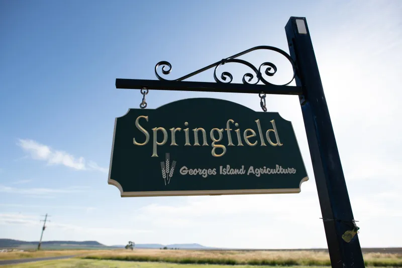 Springfield Woolshed