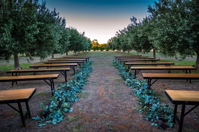 Bridgeward Grove Olives & Art photo