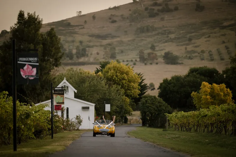 Fergusson Winery photo