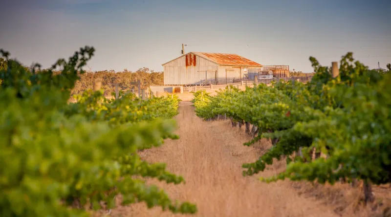 Howard Park Wines