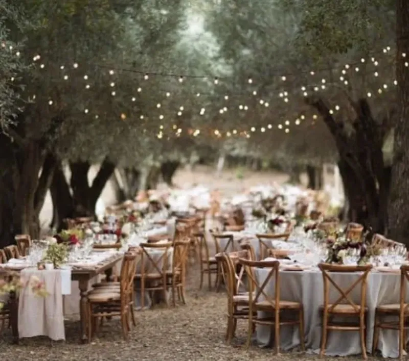 Fig Tree Park