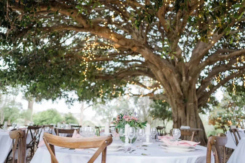Fig Tree Park