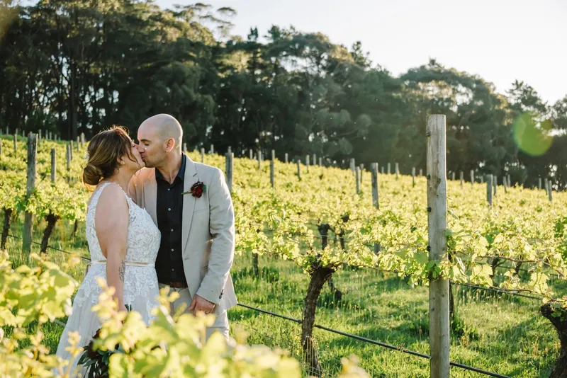 Swallowfield Vineyards