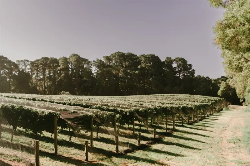 The Epicurean Mantons Creek