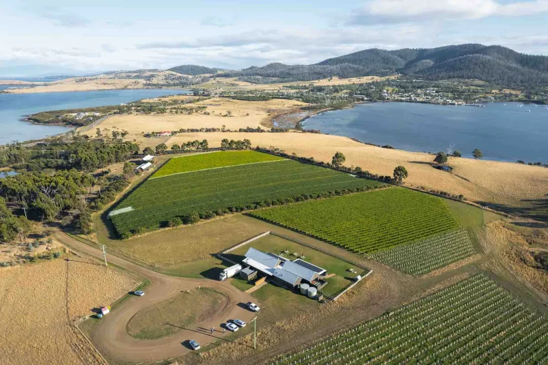 Bangor Vineyard Shed