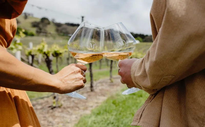 Mayfield Vineyard